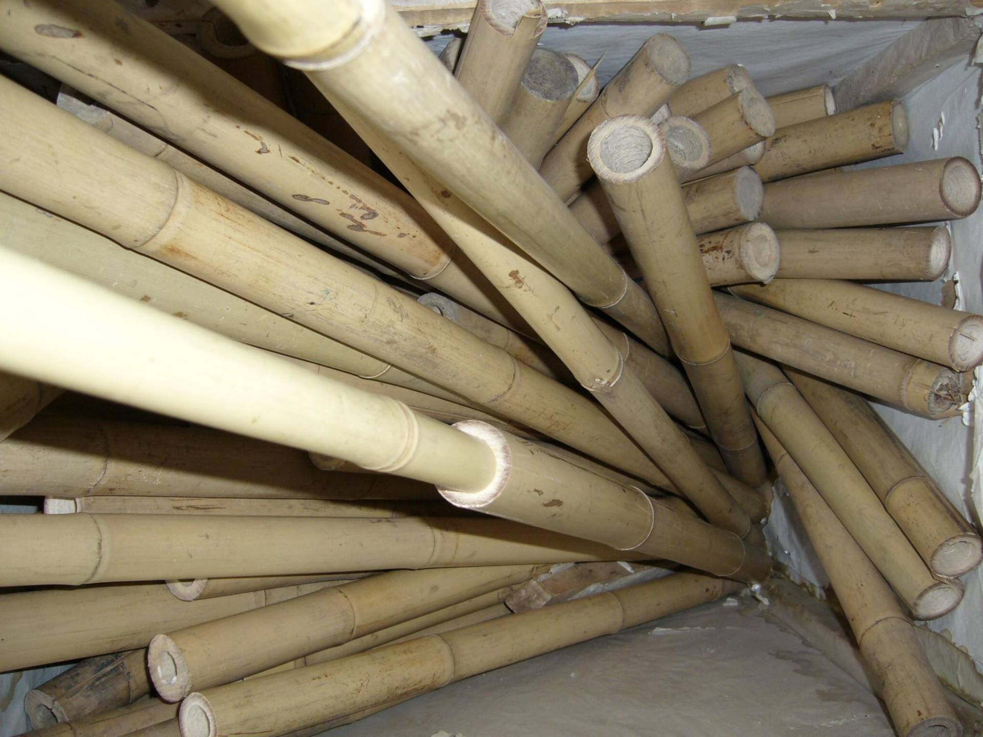 Bambus-Materialmarkt-Pankow